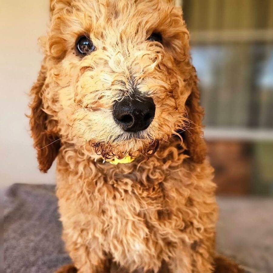 FB_IMG_1785403244071
